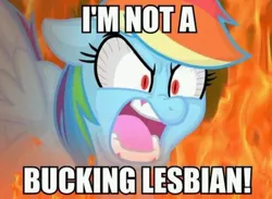 Size: 600x439 | Tagged: safe, derpibooru import, rainbow dash, pegasus, pony, angry, bloodshot eyes, caption, female, fire, hilarious in hindsight, image, image macro, impact font, jpeg, lesbian, meme, solo, text, yelling