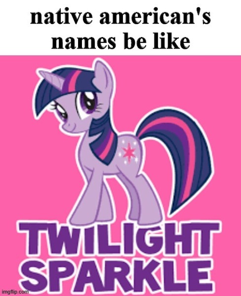 Size: 500x615 | Tagged: safe, derpibooru import, twilight sparkle, pony, unicorn, female, image, jpeg, meme, native american, offensive, racism, solo, unicorn twilight