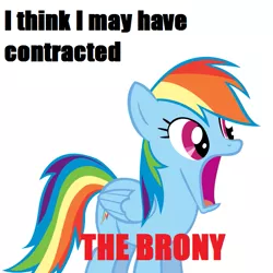 Size: 657x657 | Tagged: safe, derpibooru import, rainbow dash, pegasus, brony, female, image, impact font, jaw drop, meme, open mouth, png, simple background, solo, white background