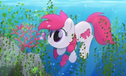 Size: 1280x775 | Tagged: safe, artist:potato22, derpibooru import, oc, oc:manta, unofficial characters only, earth pony, octopus, pony, bubble, commission, crepuscular rays, female, image, jpeg, mare, ocean, pink eyes, pink mane, rock, seaweed, solo, sunlight, underwater, water