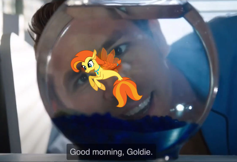 Size: 1500x1027 | Tagged: safe, artist:lightningbolt, derpibooru import, edit, oc, oc:goldenflow, fish, goldfish, human, seapony (g4), braid, english, free guy, goldfish bowl, hairtie, image, irl, photo, png, ryan reynolds