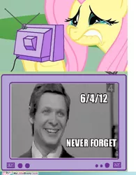 Size: 500x642 | Tagged: safe, derpibooru import, fluttershy, human, pegasus, pony, black and white, crying, death, eduard khil, exploitable meme, female, grayscale, image, irl, irl human, jpeg, meme, monochrome, my little brony, never forget, obligatory pony, op is a slowpoke, photo, rest in peace, sad, slowpoke, television, trololo, tv meme, watermark