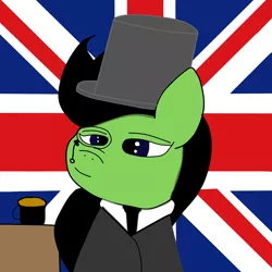 Size: 2000x2000 | Tagged: safe, derpibooru import, oc, ponified, unofficial characters only, earth pony, pony, black mane, blue eyes, clothes, fancy, flag, green fur, image, looking at you, nation ponies, png, smiling, smiling at you