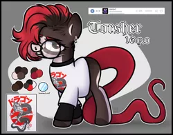 Size: 7000x5500 | Tagged: safe, artist:sadfloorlamp, derpibooru import, oc, ponified, earth pony, hybrid, original species, pony, clothes, ear piercing, earring, glasses, image, jewelry, nose piercing, piercing, png, print, reference, reference sheet, septum piercing, shirt, snake tail, solo, t-shirt, tail