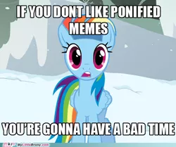 Size: 500x417 | Tagged: safe, derpibooru import, rainbow dash, pegasus, caption, female, headband, image, image macro, impact font, meme, my little brony, png, ponified meme, snow, solo, south park, text, watermark, you're gonna have a bad time