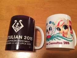 Size: 481x361 | Tagged: safe, derpibooru import, oc, oc:poppy seed (mec), cup, image, irl, jpeg, middle equestrian convention, mug, photo, poland, vistulian