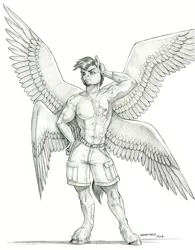 Size: 1000x1285 | Tagged: safe, artist:baron engel, derpibooru import, oc, oc:angel, anthro, pegasus, unguligrade anthro, clothes, image, jpeg, looking at you, majestic, male, monochrome, multiple wings, muscles, muscular male, partial nudity, pose, scar, short hair, shorts, simple background, smiling, smirk, solo, solo male, spread wings, topless, unshorn fetlocks, wings