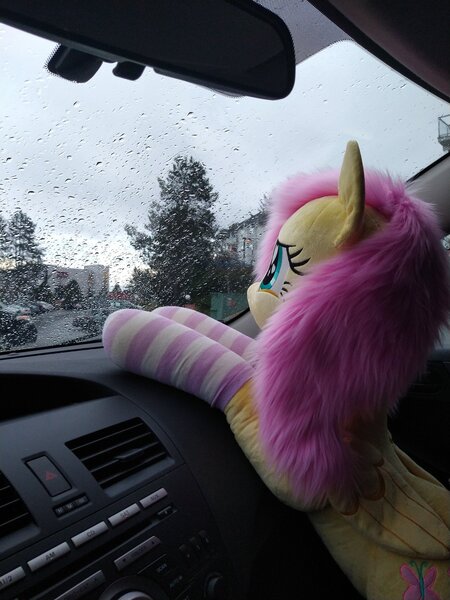 Size: 1536x2048 | Tagged: safe, artist:plushbylumi, derpibooru import, fluttershy, car, car interior, clothes, image, irl, jpeg, photo, plushie, rain, socks, solo