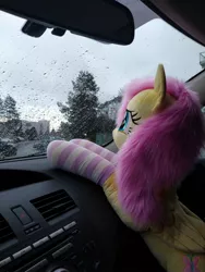 Size: 1536x2048 | Tagged: safe, artist:plushbylumi, derpibooru import, fluttershy, car, car interior, clothes, image, irl, jpeg, photo, plushie, rain, socks, solo