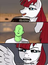 Size: 1080x1442 | Tagged: safe, artist:crade, ponybooru import, oc, oc:anon, oc:fausticorn, unofficial characters only, alicorn, human, pony, breaking bad, colored, dialogue, image, mommy, paintover, png, pop culture, shitposting