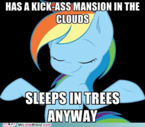 Size: 300x263 | Tagged: safe, derpibooru import, rainbow dash, pegasus, pony, black background, caption, female, image, image macro, impact font, meme, my little brony, needs more jpeg, png, rainbow dash's house, shrug, simple background, solo, text, watermark