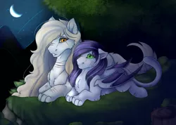Size: 2500x1780 | Tagged: safe, artist:highrolleryt, derpibooru import, oc, unofficial characters only, bat pony, cat, cat pony, original species, pony, bat pony oc, bat wings, crescent moon, duo, image, lying down, moon, night, outdoors, png, prone, stars, transparent moon, wings