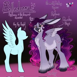 Size: 2048x2048 | Tagged: safe, artist:unfinishedheckery, derpibooru import, oc, oc:belladonna, unofficial characters only, donkey, hybrid, pegasus, pony, bedroom eyes, chubby, digital art, female, floppy ears, image, jpeg, mare, reference sheet, solo, spread wings, tail, text, wings