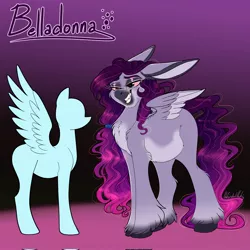 Size: 2048x2048 | Tagged: safe, alternate version, artist:unfinishedheckery, derpibooru import, oc, oc:belladonna, unofficial characters only, donkey, hybrid, pegasus, pony, bedroom eyes, chubby, digital art, female, floppy ears, image, jpeg, mare, reference sheet, solo, spread wings, tail, textless version, wings