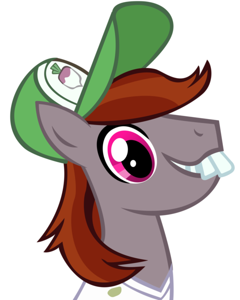 Size: 6500x8125 | Tagged: safe, derpibooru import, edit, oc, oc:funny jo, unofficial characters only, pony, cap, derpibooru exclusive, hat, image, male, open mouth, overbite, png, recolor, simple background, smiling, solo, stallion, teeth, transparent background, turnip, vector