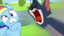 Size: 1280x720 | Tagged: safe, derpibooru import, rainbow dash, newbie dash, angry, image, png, screaming, tom (tom and jerry), tom and jerry, yelling