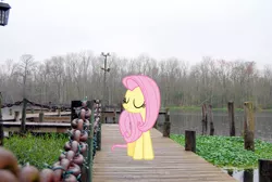 Size: 2896x1944 | Tagged: safe, artist:erccre147, artist:mlplover94, derpibooru import, fluttershy, pegasus, pony, eyes closed, female, florida, high res, image, irl, jacksonville, jpeg, mare, outdoors, photo, ponies in real life, smiling, solo, standing