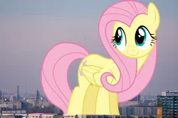 Size: 3000x2000 | Tagged: safe, artist:dashiesparkle, artist:thegiantponyfan, derpibooru import, fluttershy, pegasus, pony, berlin, female, folded wings, germany, giant pegasus, giant pony, giantess, giantshy, high res, highrise ponies, image, irl, macro, mare, mega giant, photo, png, ponies in real life, smiling, solo, wings