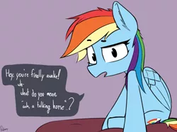 Size: 3272x2448 | Tagged: safe, artist:pinkberry, derpibooru import, rainbow dash, concerned, dialogue, image, png, sitting, speech bubble, talking, talking to viewer, text