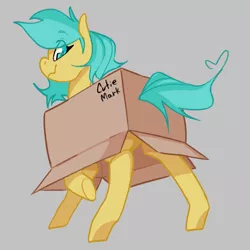Size: 1000x1000 | Tagged: safe, anonymous artist, artist:rirurirue, derpibooru import, oc, oc:boxfilly, unofficial characters only, pegasus, pony, box, cardboard box, drawthread, eye clipping through hair, fake cutie mark, female, filly, gray background, image, looking at you, looking back, looking back at you, pegasus oc, png, simple background, smiling, smiling at you, solo, underhoof, wings