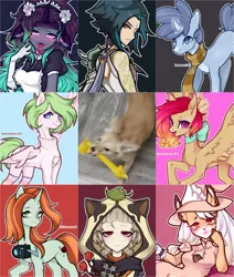 Size: 1500x1767 | Tagged: safe, artist:hennessi83, derpibooru import, crackle cosette, queen chrysalis, oc, human, pegasus, pony, unicorn, art vs artist, camera, clothes, coat markings, collage, disguise, disguised changeling, genshin impact, horn, image, irl, irl dog, jpeg, jumper, neck bow, pegasus oc, photo, sayu, scarf, socks, spread wings, unicorn oc, wings, xiao