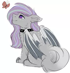 Size: 1937x2000 | Tagged: safe, artist:highrolleryt, derpibooru import, oc, unofficial characters only, bat pony, butterfly, cat, cat pony, insect, original species, pony, bat pony oc, bat wings, chest fluff, choker, ear fluff, image, looking up, png, smiling, solo, spiked choker, wings