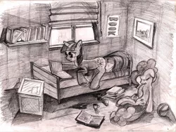 Size: 2208x1664 | Tagged: safe, artist:alexandrvirus, derpibooru import, pinkie pie, twilight sparkle, earth pony, pony, unicorn, book, duo, image, jpeg, monochrome, unicorn twilight, window