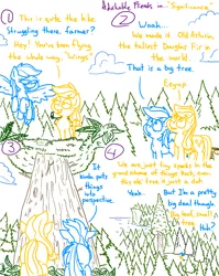 Size: 4779x6013 | Tagged: safe, artist:adorkabletwilightandfriends, derpibooru import, applejack, douglas spruce, evergreen, rainbow dash, comic:adorkable twilight and friends, adorkable, adorkable friends, butt, camping, coast, comic, conversation, cute, dork, douglas fir, ego, flying, forest, friendship, hiking, humble, image, impressed, low angle, nature, perspective, plot, png, scenery, shocked, slice of life, spruce, surprised, tree, walking