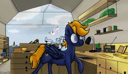 Size: 6144x3584 | Tagged: safe, artist:ceugenese, derpibooru import, oc, oc:afterglow sky, oc:morning star, pegasus, pony, blue coat, book, bookshelf, cactus, cloud, desk, duo, female, flying, glasses, image, jpeg, male, orange eyes, orange hair, pink coat, purple eyes, radio, siblings, sky