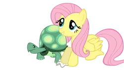 Size: 3000x1688 | Tagged: safe, artist:totalcrazyness101, derpibooru import, fluttershy, tank, pegasus, pony, tortoise, female, image, mare, png, simple background, transparent background, vector