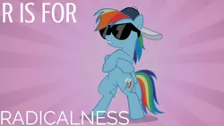 Size: 1280x720 | Tagged: safe, derpibooru import, edit, edited screencap, editor:quoterific, screencap, rainbow dash, pegasus, pony, may the best pet win, season 2, 20% cooler, alphabet, bipedal, crossed hooves, deal with it, female, glasses, image, jpeg, mare, pink background, reference, simple background, solo