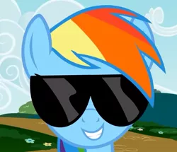 Size: 705x607 | Tagged: safe, artist:blackgryph0n, derpibooru import, rainbow dash, pegasus, pony, cropped, female, image, jpeg, mare, solo, sunglasses, twilightlicious