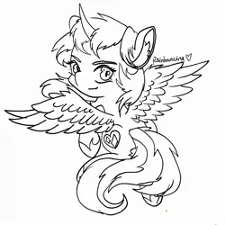 Size: 2411x2410 | Tagged: safe, artist:rainbowwing, derpibooru import, oc, oc:rainbowwing, unofficial characters only, alicorn, :3, alicorn oc, female, flying, hoof shoes, horn, image, jpeg, lineart, looking at you, monochrome, sketch, solo, spread wings, wings