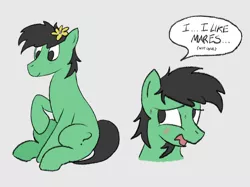 Size: 2732x2048 | Tagged: safe, artist:rawtszy, derpibooru import, oc, oc:anon, oc:anon stallion, earth pony, pony, 4chan, anonymous, blatant lies, blushing, flower, flower in hair, image, male, png, simple background, sitting, solo, stallion, white background