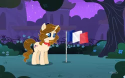 Size: 1280x801 | Tagged: safe, artist:diamant-as, derpibooru import, oc, ponified, pony, flag, france, image, jpeg, nation ponies, solo