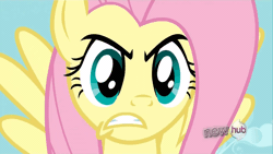 Size: 1920x1080 | Tagged: safe, derpibooru import, screencap, fluttershy, pegasus, pony, keep calm and flutter on, season 3, 1080p, angry, animated, anime effect, badass, blinking, close-up, eye shimmer, female, flutterbadass, gif, gritted teeth, image, mare, solo, stare, teeth, the stare