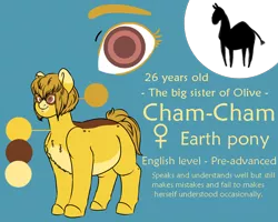 Size: 1000x800 | Tagged: safe, artist:saasart, derpibooru import, oc, oc:cham-cham, earth pony, pony, blue background, brown eyes, brown mane, chubby, cutie mark, earth pony oc, female, image, mare, markings, multicolored coat, png, reference sheet, simple background, text, yellow coat