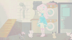 Size: 600x338 | Tagged: safe, derpibooru import, screencap, fluttershy, cat, dog, equestria girls, equestria girls series, so much more to me, animated, female, gif, image, solo, washing machine