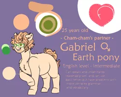 Size: 1000x800 | Tagged: safe, artist:saasart, derpibooru import, oc, oc:gabriel, unofficial characters only, earth pony, pony, chest fluff, chubby, cutie mark, earth pony oc, glasses, green eyes, image, male, orange mane, peach coat, png, purple background, reference sheet, simple background, stallion, stubble, text