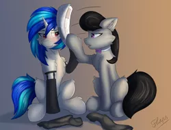 Size: 5125x3917 | Tagged: safe, alternate version, artist:flapstune, derpibooru import, octavia melody, vinyl scratch, earth pony, pony, unicorn, bonk, bowtie, chest fluff, clothes, duo, duo female, ear fluff, female, fluffy, horn, image, lesbian, mare, newspaper, png, red eyes, shipping, signature, simple background, sitting, socks