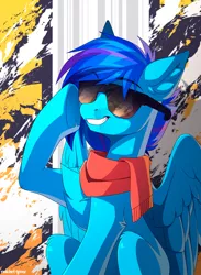 Size: 2000x2731 | Tagged: safe, artist:redchetgreen, derpibooru import, oc, unofficial characters only, pegasus, pony, clothes, high res, image, pegasus oc, png, scarf, sitting, smiling, solo, sunglasses, wings