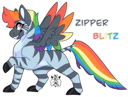 Size: 1604x1222 | Tagged: safe, artist:poppln, derpibooru import, oc, unofficial characters only, hybrid, zebra, zebrasus, zony, colored hooves, grin, image, magical lesbian spawn, multicolored hair, offspring, parent:rainbow dash, parent:zecora, png, rainbow hair, simple background, smiling, solo, transparent background