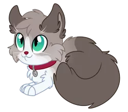 Size: 1248x1096 | Tagged: safe, artist:lupulrafinat, derpibooru import, oc, unofficial characters only, cat, chest fluff, collar, ear fluff, image, png, show accurate, simple background, smiling, transparent background