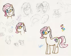 Size: 2363x1869 | Tagged: safe, artist:elidiotadelaesquina, derpibooru import, oc, oc:kurntis, unofficial characters only, earth pony, heterochromia, image, jpeg, sketch, traditional art