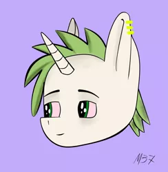 Size: 2105x2160 | Tagged: safe, artist:m37, derpibooru import, oc, oc:ein, unofficial characters only, pony, unicorn, bust, ear piercing, eyebrows, green eyes, head only, high res, horn, image, lidded eyes, male, piercing, png, portrait, purple background, signature, simple background, smiling, solo, stallion, unicorn oc