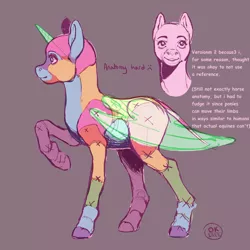 Size: 1200x1200 | Tagged: safe, artist:socialgutbrain777, derpibooru import, edit, editor:socialgutbrain777, oc, oc:any pony, pony, ambiguous gender, anatomy, anatomy guide, any species, blank flank, colorful, derpibooru exclusive, hoers, image, misspelling, png, practice drawing, semi-realistic, solo, updated, updated image