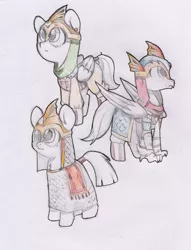 Size: 3909x5110 | Tagged: safe, artist:foxtrot3, derpibooru import, earth pony, hippogriff, pegasus, pony, armor, boots, chain mail, clothes, dragon kingdom guard, group, helmet, image, jpeg, leather, leather armor, leather boots, scarf, shoes