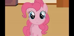 Size: 1480x720 | Tagged: safe, artist:forgalorga, derpibooru import, screencap, pinkie pie, earth pony, pony, cute, female, image, jpeg, looking at you, mare, video at source, your little cat, your little pets