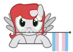 Size: 762x544 | Tagged: safe, artist:hazel bloons, derpibooru import, oc, oc:benevolence, unofficial characters only, pegasus, pony, bust, commission, cute, female, flag, green eyes, holding, holding a flag, image, looking at you, mouth hold, png, pride, pride flag, pride month, red hair, simple background, smiling, solo, transgender pride flag, transparent background, white coat, ych result