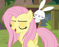 Size: 640x512 | Tagged: safe, derpibooru import, screencap, angel bunny, fluttershy, pegasus, pony, rabbit, she talks to angel, animal, animated, cropped, duo, female, gif, image, male, mare, messy mane, talking, tired